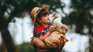 A young girl with a straw hat and a joyful expression gently holds a white duck in her arms. They are outdoors, with a backdrop of blurred greenery that provides a natural, serene setting. The girl's tender grip and the duck's calm posture suggest a moment of connection between the child and the animal, capturing the innocence and curiosity inherent to childhood. The vivid colors and intimate interaction evoke a sense of rustic charm and simplicity.