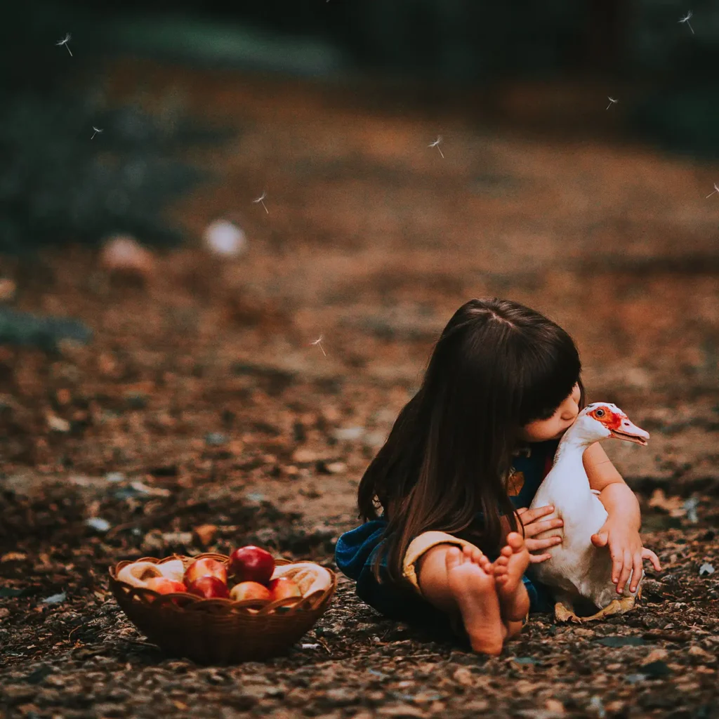 A tender moment captured as a young child with long dark hair lovingly embraces a white duck amidst a rustic outdoor setting, with a basket of red apples nearby, encapsulating the innocence of childhood and a connection with nature.